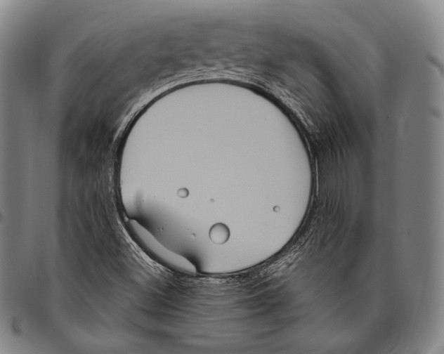 X0000096491500200802211225