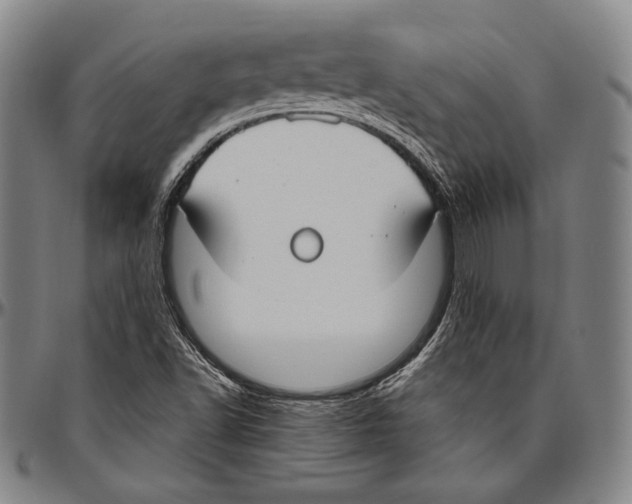 X0000096491502200802211225