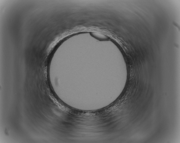 X0000096491503200802211225