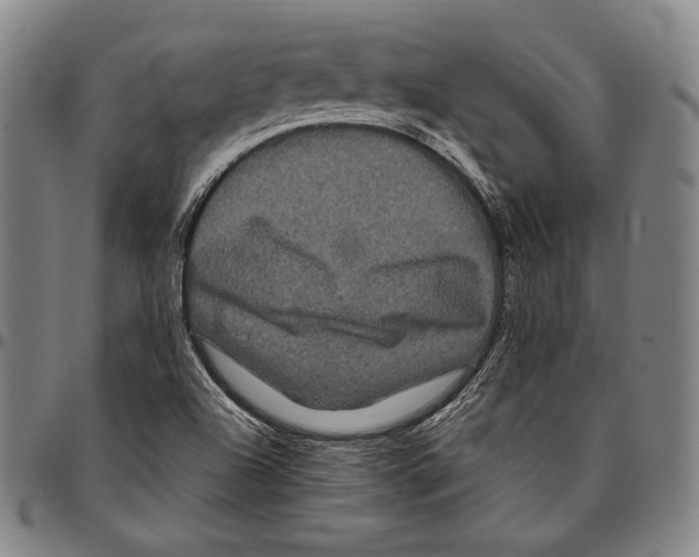 X0000096491504200802211225