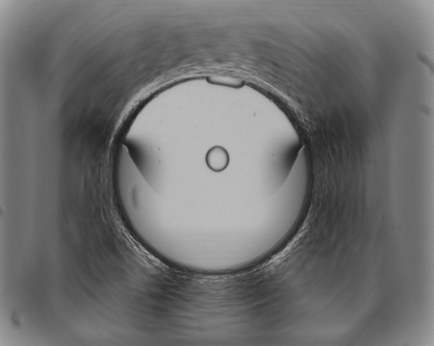 X0000096491506200802211225