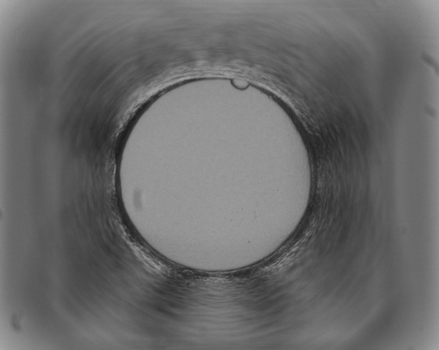 X0000096491507200802211225