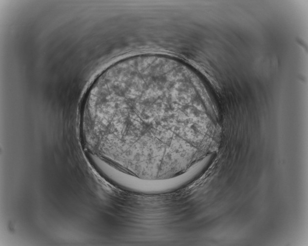 X0000096491508200802211225