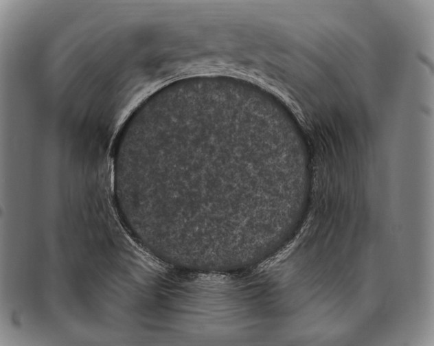 X0000096491509200802211225