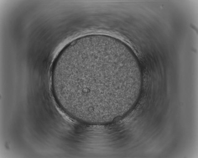 X0000096491511200802211225