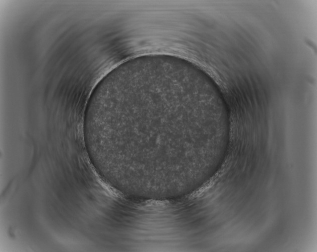 X0000096491513200802211225