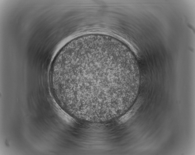 X0000096491514200802211225