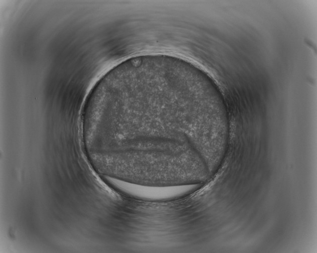 X0000096491517200802211225