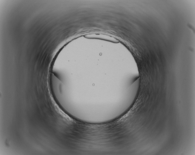 X0000096491518200802211225