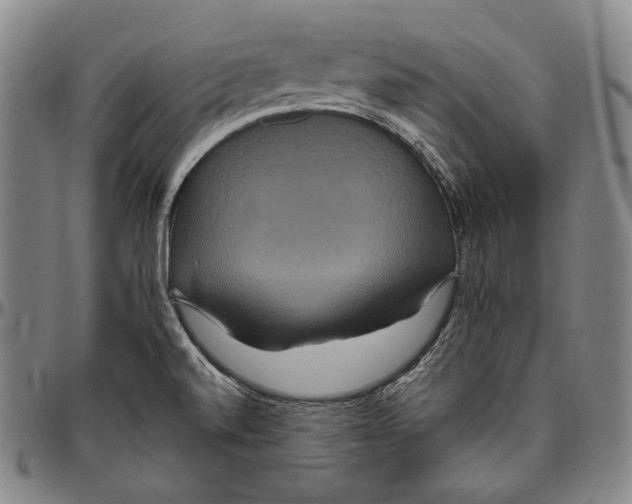 X0000096491520200802211225