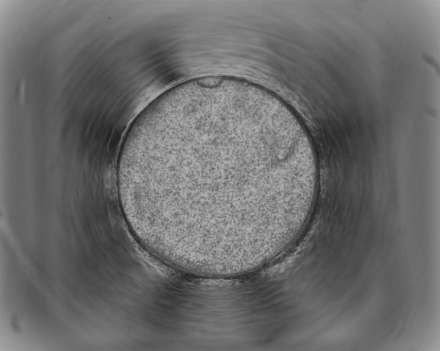 X0000096491521200802211226