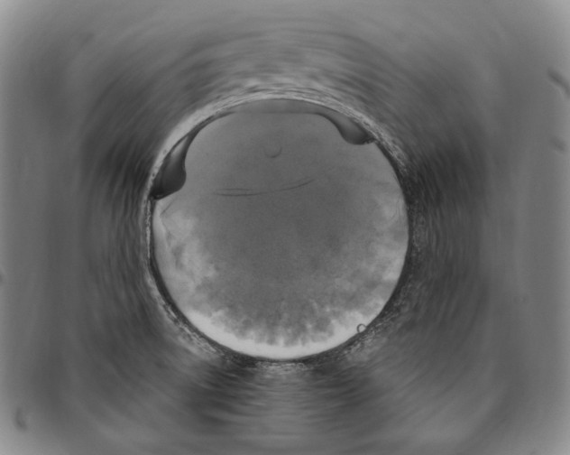 X0000096491522200802211226