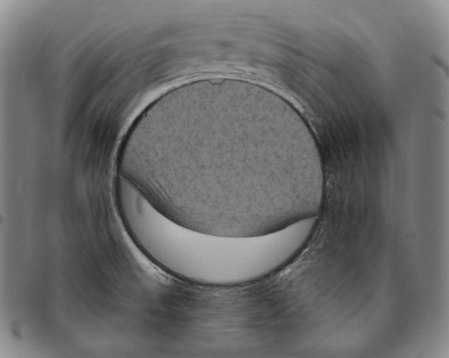 X0000096491523200802211226