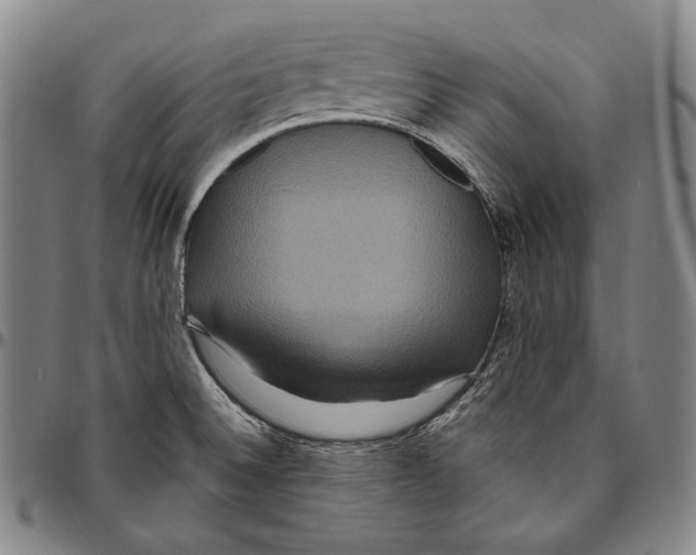 X0000096491524200802211226