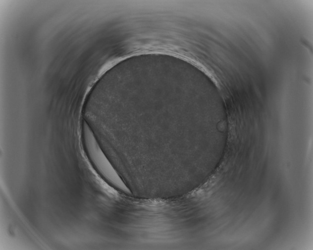 X0000096491525200802211226