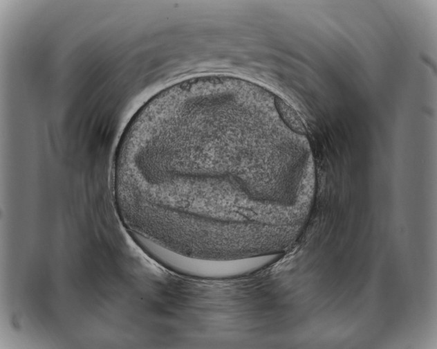 X0000096491527200802211226