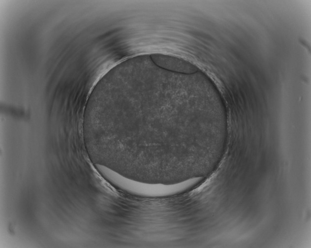 X0000096491529200802211226