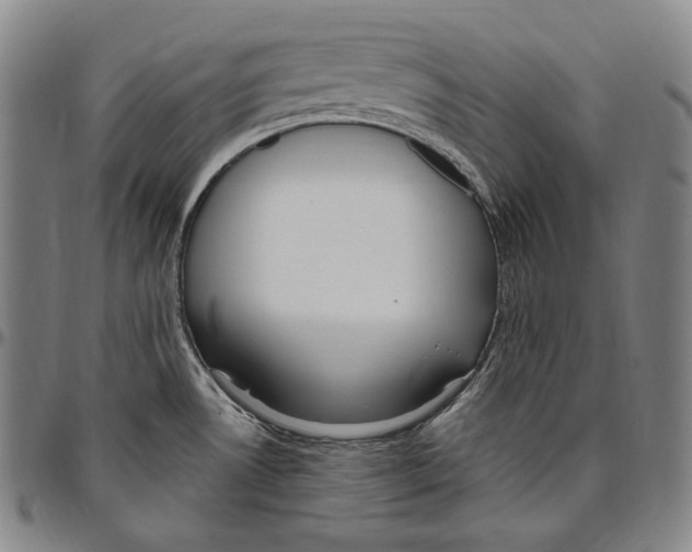 X0000096491530200802211226