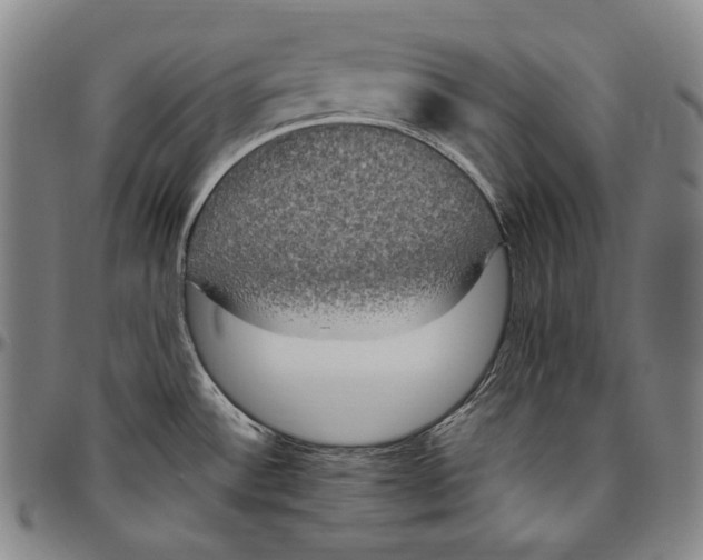 X0000096491532200802211226