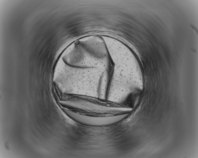 X0000096491533200802211226