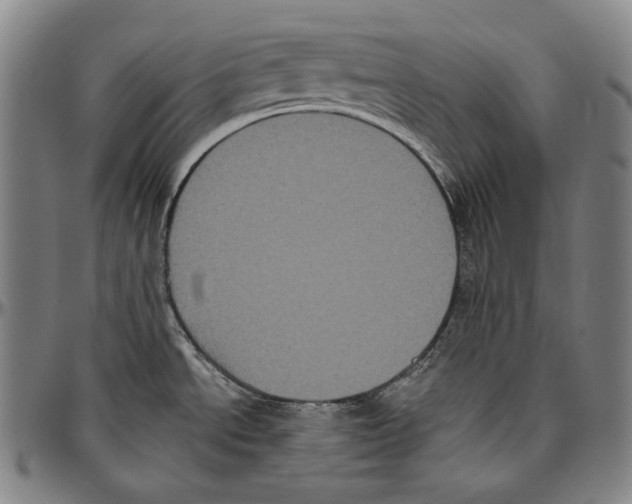 X0000096491534200802211226