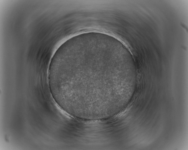 X0000096491535200802211226