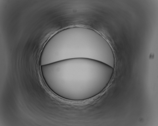 X0000096630001200802050945