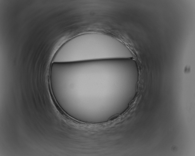 X0000096630003200802050945