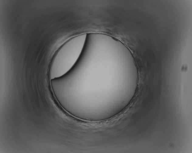 X0000096630005200802050945