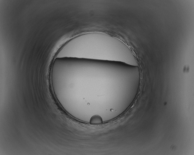 X0000096630006200802050945