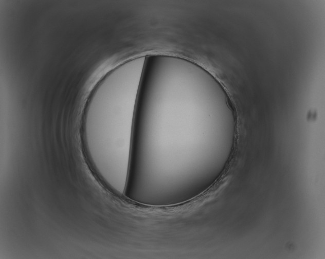 X0000096630007200802050945