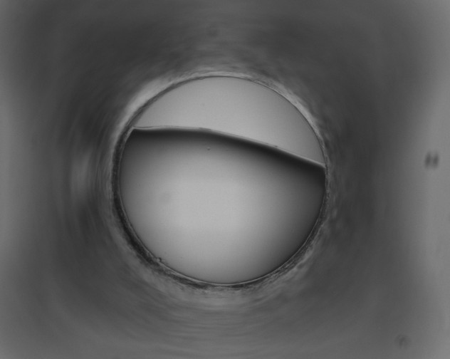 X0000096630008200802050945
