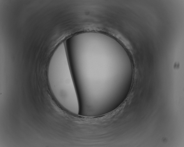 X0000096630009200802050945