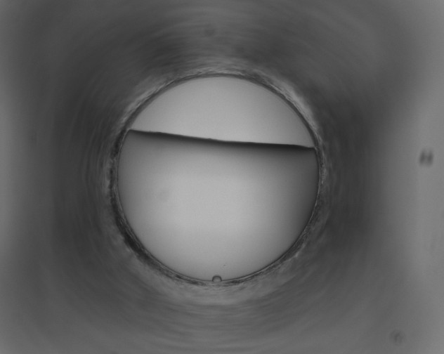 X0000096630010200802050945