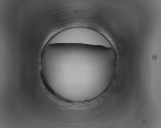X0000096630011200802050945