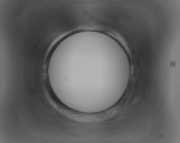 X0000096630012200802050945