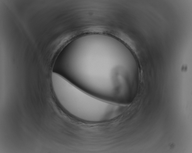 X0000096630013200802050945