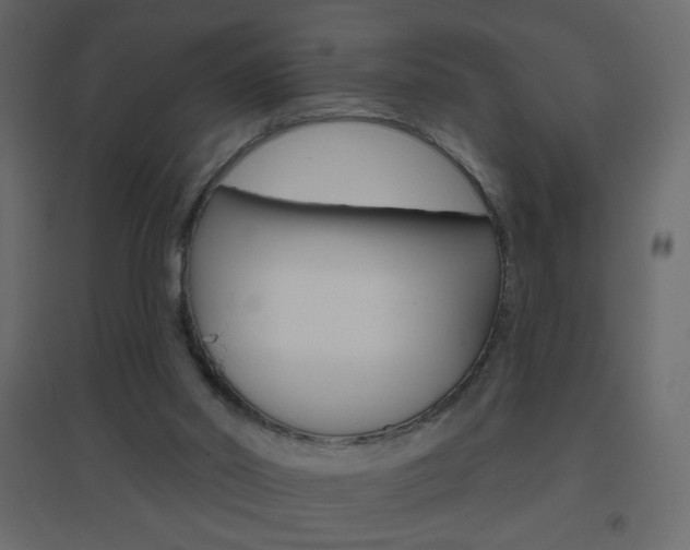 X0000096630014200802050945