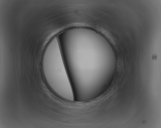X0000096630015200802050945