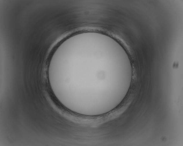X0000096630016200802050945