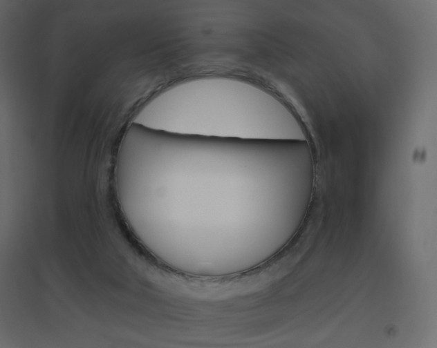 X0000096630018200802050945
