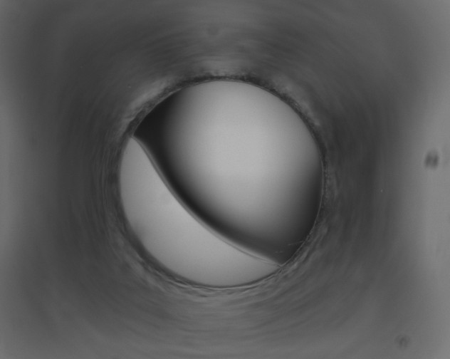 X0000096630019200802050945