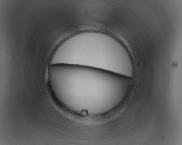 X0000096630020200802050945