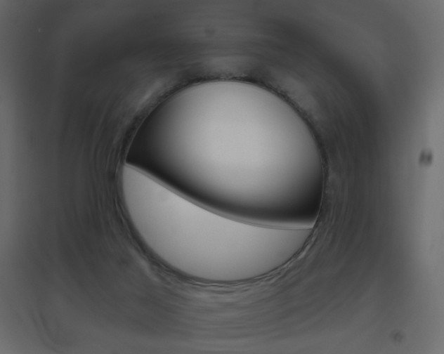 X0000096630021200802050945