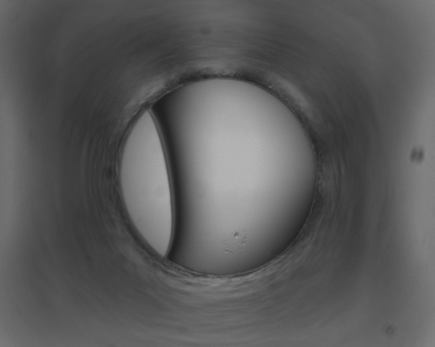 X0000096630023200802050945