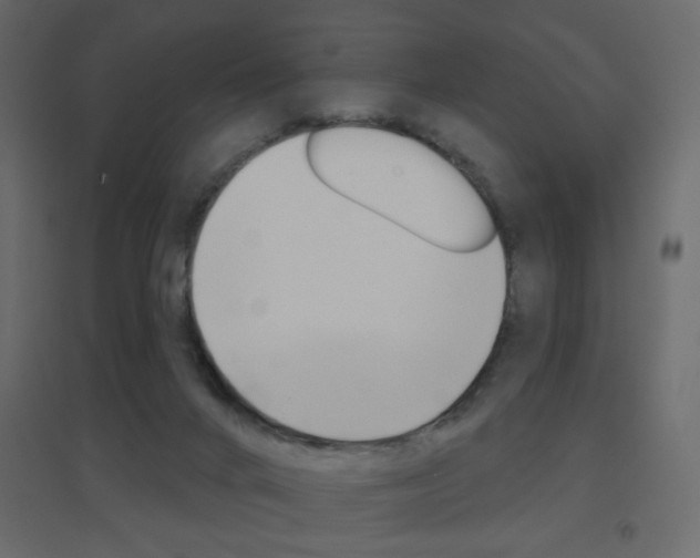 X0000096630024200802050945