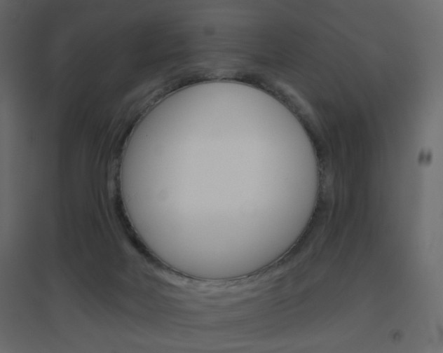 X0000096630026200802050944
