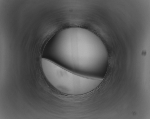 X0000096630027200802050944