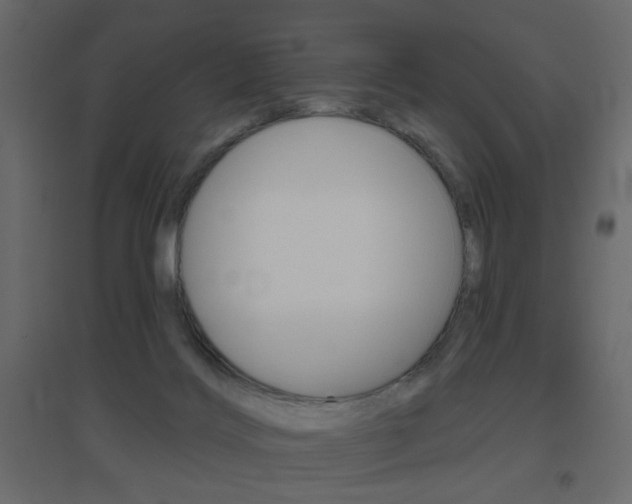 X0000096630028200802050944