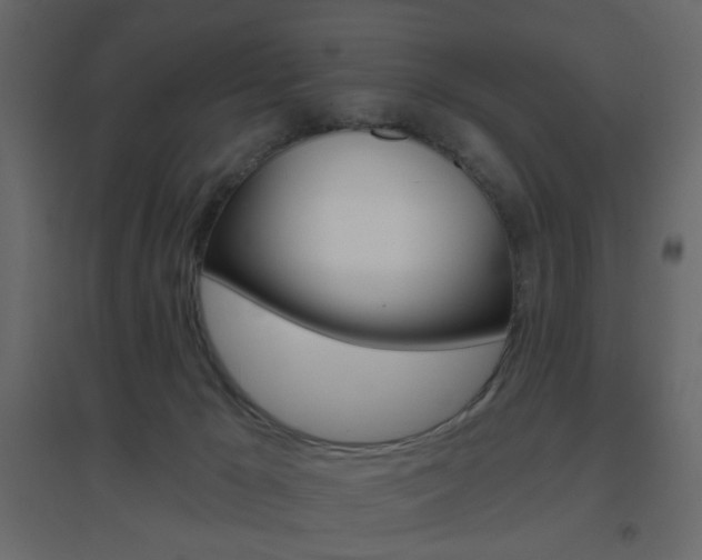 X0000096630029200802050944